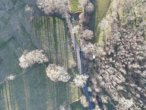 DJI_4778.JPG